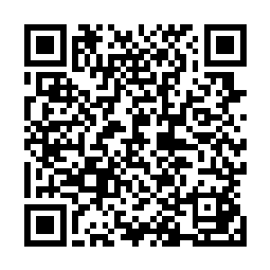 你们弄得连我们都藏着掖着的那个什么dna检查终于有结果了二维码生成