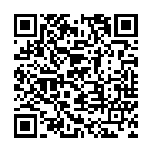 你们的战斗力太凶残了一天时间从总榜十五冲到了总榜十二二维码生成