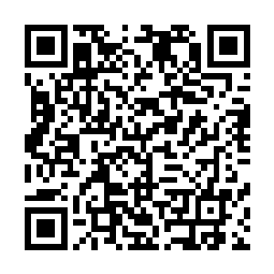 你立刻让我国驻伊斯坦布尔公使馆发表一份措辞严厉的声明二维码生成