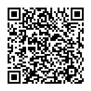 你说等回去我弟弟问我为什么方运读完四百本书我还没读完九十本二维码生成