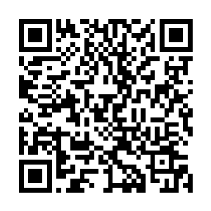 便见原本无精打采地趴在自己腿上的灵宝一个激灵站起身来二维码生成