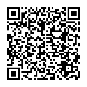 做梦也没想到超重力能量矿和充沛的风属性能力结合起来会有这样神奇的效果二维码生成