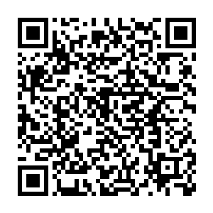 光明圣师工会的会长带领所有的七阶光明圣师也全部都來到了这里二维码生成