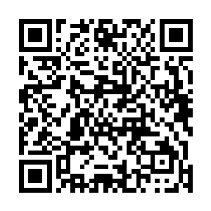 公子锻愣愣地接过许紫烟手中的一元丹目光从震惊到惊喜二维码生成