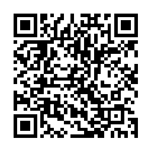 关系到我们江州企业将来的发展大计委会下来一个评估小组二维码生成