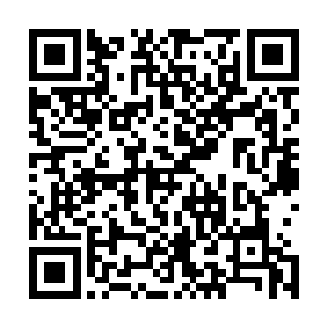 其中什么陶瓷古董珍珠项链黄金白银手镯戒指等等应有尽有二维码生成