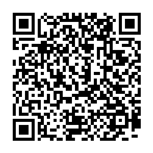 其他人都以为现在二中就是我和马天宇他们那伙高一的混混平分天下呢二维码生成