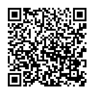 其他砸在较细树枝和树叶上的陨石也在一阵阵巨响之中砸断了这些树叶和树枝二维码生成