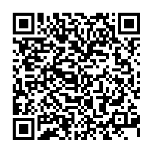 其热络程度甚至让陆为民都有些怀疑他是不是早就和这些学长学弟们有过接触二维码生成