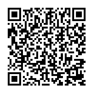 再加上明湖文化那场别开生面的新闻发布会的确是拿出了很多的猛料二维码生成