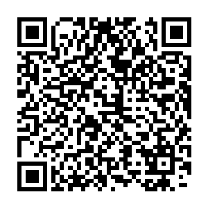 决定以后有机会一定要去其他几个绝地还有魔兽森林的核心看一下二维码生成