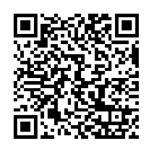 冷寒烟朱红色的薄唇习惯性的勾勒出似笑非笑的弧度二维码生成