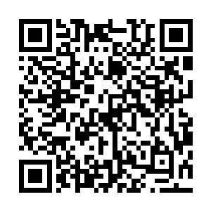 刚才还信誓旦旦的要将丁二狗告到公安局的美丽少妇张和尘二维码生成