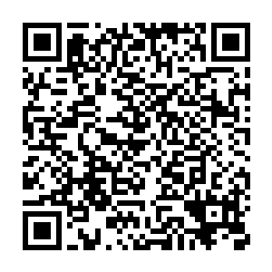 利用妖仙门和魔仙门重要一点是他们四象境和五行境的修士不少罢了二维码生成