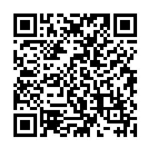 剩下的缺口我会把我在镇壬殿这边的所得全部拿出来二维码生成