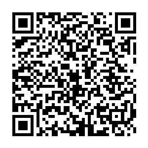 加上在尚动俱乐部保安队专属训练区进行的体能测试和综合演练中二维码生成