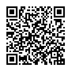 勉强把最后一个糯米团子吃下去之后瞅着笑的开心的葛秋烟道二维码生成