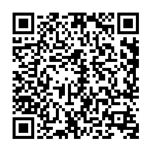 十三公主和柳泱泱同时将火辣辣的视线集中在念念牵向白硫亦的那只手上二维码生成