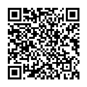 十年来大周朝廷与离宫及众宗派世家经常推演当初的白帝城之战二维码生成