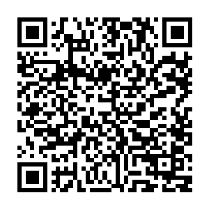 单是这份心意便叫曹公公一个在后宫沉浮中快要练就铁石心肠的人感动了二维码生成