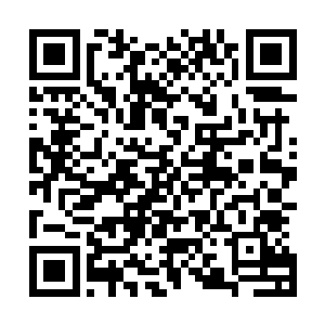 原本冻得有些发僵的身体在车内温暖的空调下渐渐舒展开来二维码生成