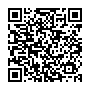 原本凝聚的浓雾的瘴气似乎被越来越刺目的日光炙烤的蒸发散去二维码生成