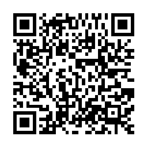 原本就是坑坑洼洼的土地到处都是被巨大的力量轰击出来的坑二维码生成