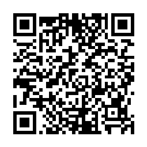 原本急速爬着的雪纯蝎感觉到颜洛儿的放松突然停了下来二维码生成