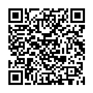 原本还很愉悦的姚紫怡的心情立刻就跟着开始变化了起来二维码生成