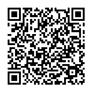 原本那巨蟹在没有丝毫防备之下被百族英灵一记世界之力轰击在前胸二维码生成