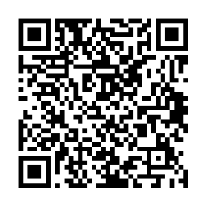 原本闭合着的通天塔一扇扇高达二十米的巨大塔门骤然张开二维码生成