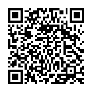 发疯一样的从那些重甲战士盔甲衔接处的缝隙中一次次的刺入二维码生成