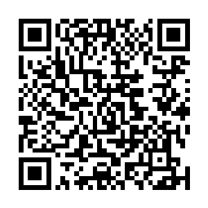 发送短信或者登陆我们的网站参与竞猜最终优胜者的活动二维码生成