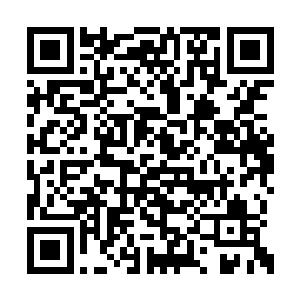 只不过……居然还有伪帝从那个时代活到了现在二维码生成