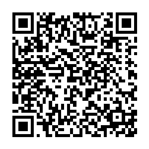 只不过当姚远把手放到了这本书籍上面过后一些纹理开始显现了出来二维码生成