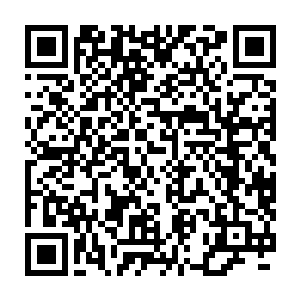 只是不知道他们为什么没有在刚才那些风声掠过的时候将他们一举歼灭二维码生成