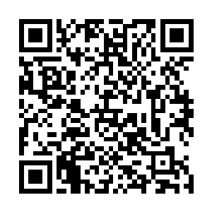 只是以往都是艾楠他们这只小队以绝对的优势全歼了对手的二维码生成