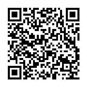 只是我等也不清楚他们是从什么地方得到了消息二维码生成