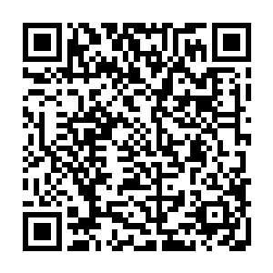 只是诺维斯基怎么也想不明白这职业沙排界什么时候出现了这么强的一个华人二维码生成