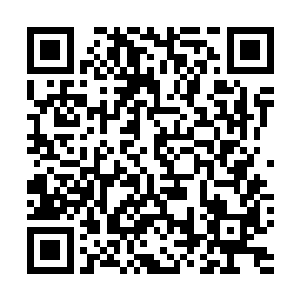 只是这一时间他还难以消化今夭陆为民给他带来的这种种二维码生成