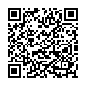 只有和战傅羽以及孟雅晴一个考场的新人们知道二维码生成