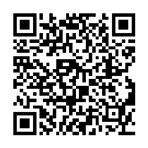 只有战争疯子才会在情报不明的时候盲目出击赌国运二维码生成