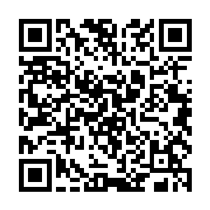 只有痴迷不弃的情能够沉浸于梦与真的无边忧伤之中二维码生成