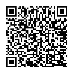 只要在那份契约上签下自己的名字再发一遍灵魂与血脉之誓就行了二维码生成