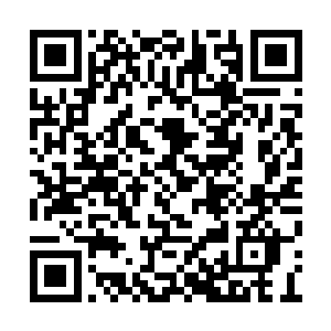 只要看到不符合军事常规的建筑就想把它改过来二维码生成