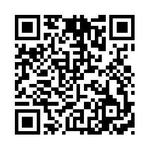 只见那结着沉甸甸红色果子的长生树二维码生成