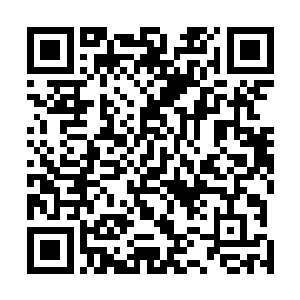 可今天老师居然出面帮忙把春柳剧场都给金梁申请过来了二维码生成