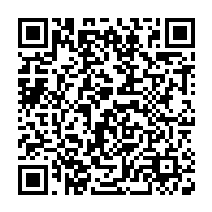 可以传音告诉我……或者也可以让我应允你一个不触犯天道规则的条件二维码生成