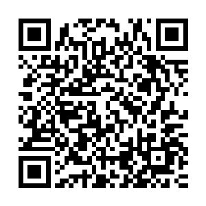 可以清晰感知到墙壁的震颤以及顺着钢筋混凝土传来的能量波纹二维码生成