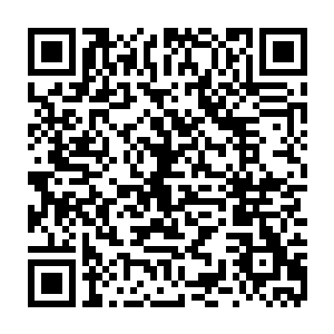 可算是将这个实力强横的紫瞳深渊屠戮者给收服了……虽然还只是暂时的二维码生成